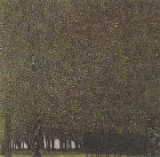 Gustav Klimt The Park (mk20) oil on canvas